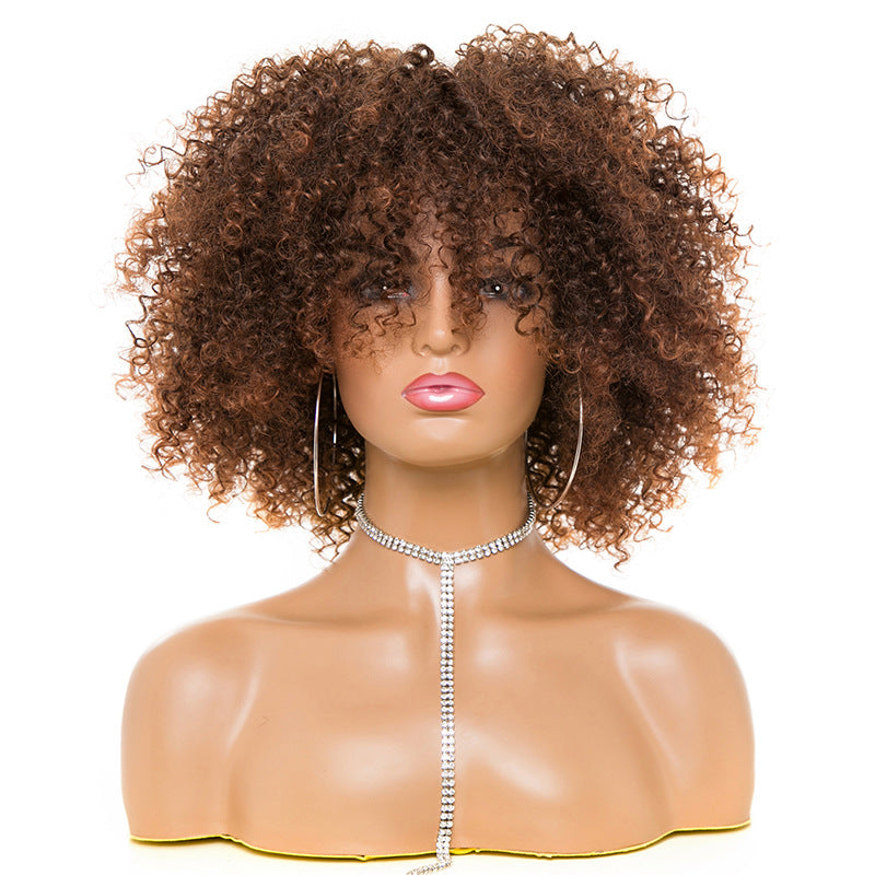 Afro Kinky Curly Hair Wigs Afro Kinky Curly Hair Wigs